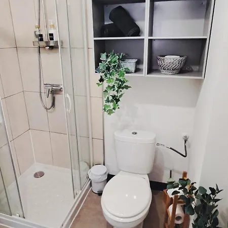 Apartament Petit Cocon Nature Centre-ville
