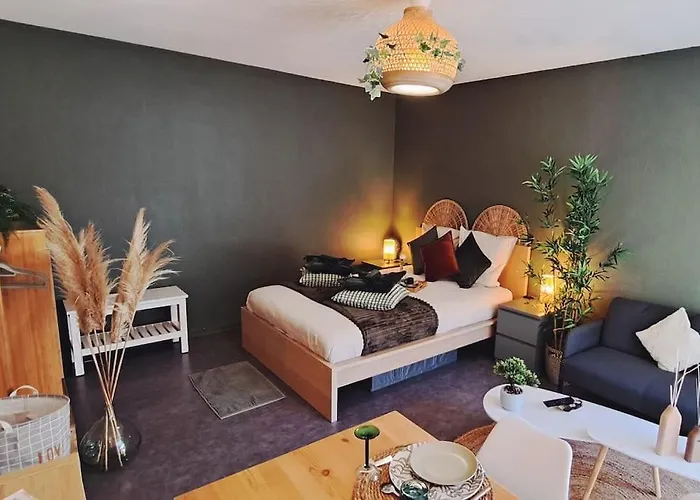 Petit Cocon Nature Centre-ville Colmar