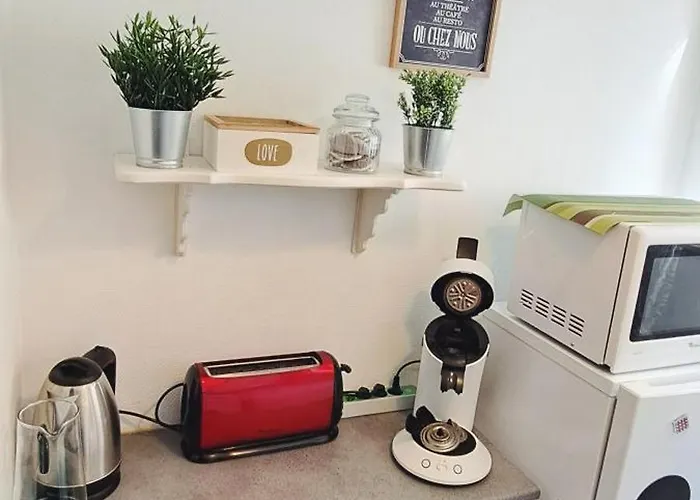 Apartamento Petit Cocon Nature Centre-ville *