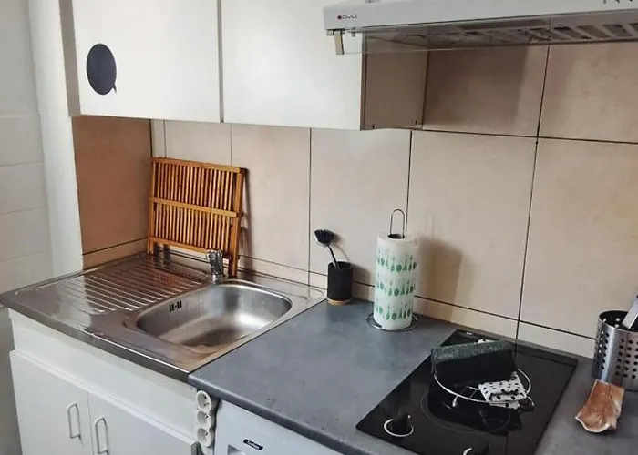 Petit Cocon Nature Centre-ville Apartamento Colmar