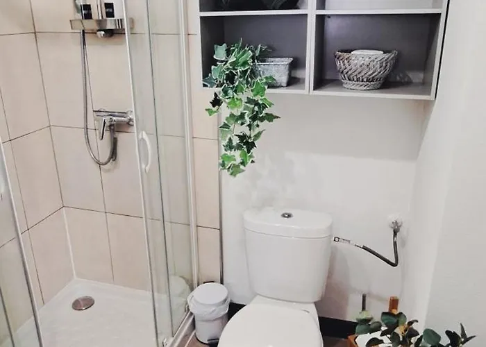 Apartamento Petit Cocon Nature Centre-ville